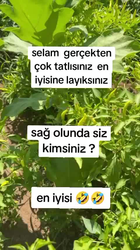 @🤍72sinem72🤍