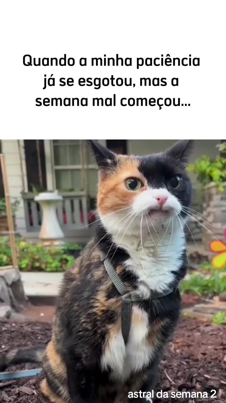 @Astral da semana 2