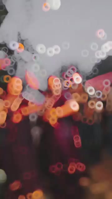 @sanjeet Kumar sah