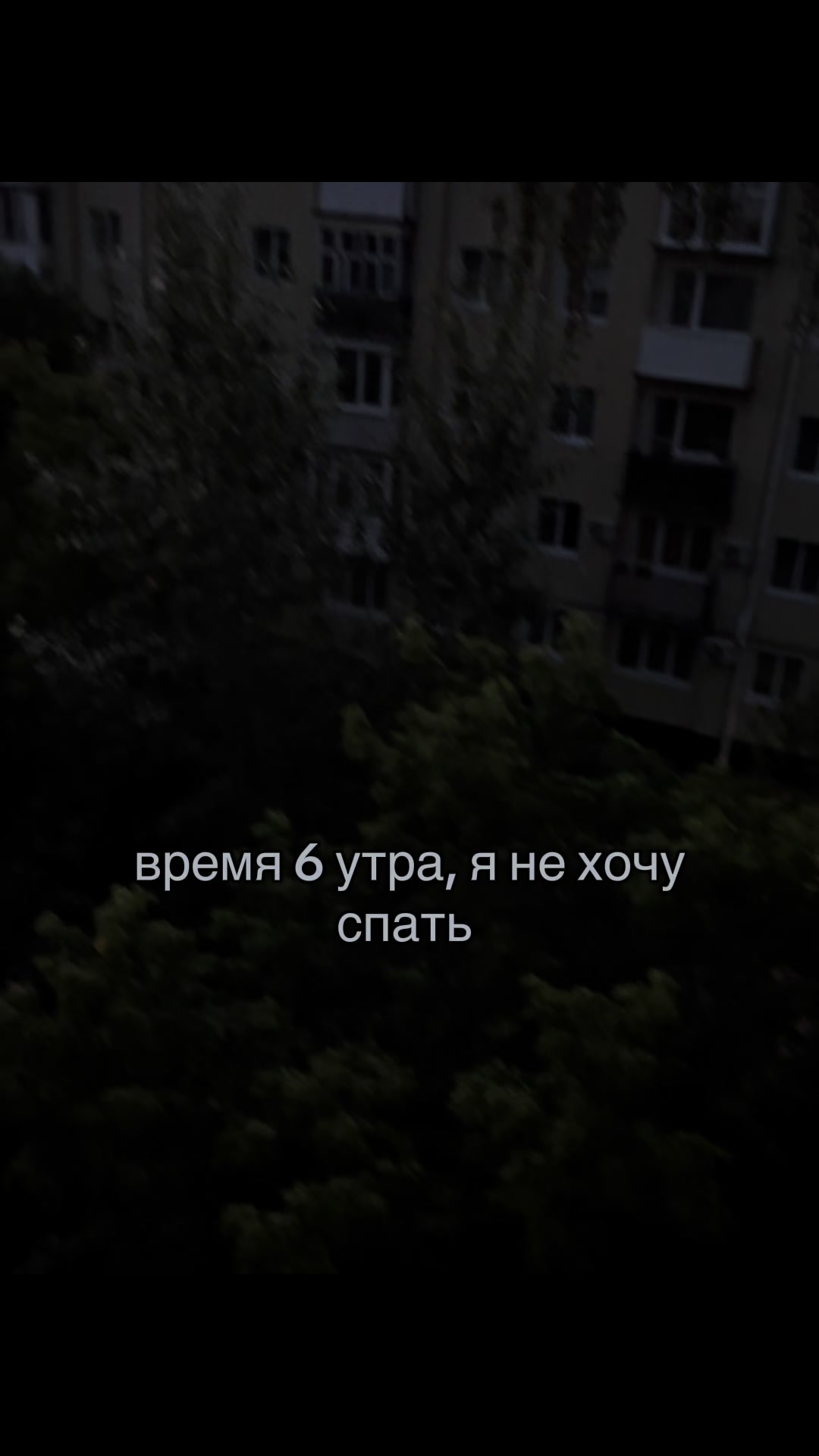 @🌸🐥@