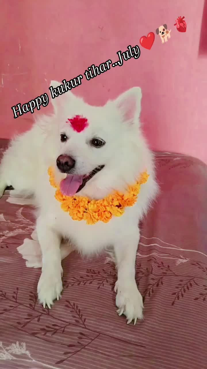 @Mrs__ Dangaura