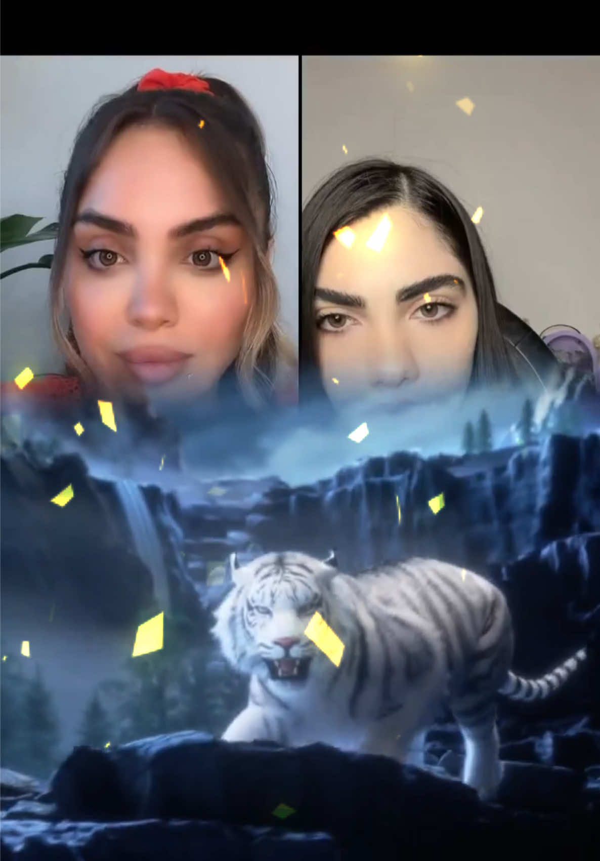 @negarin.ar
