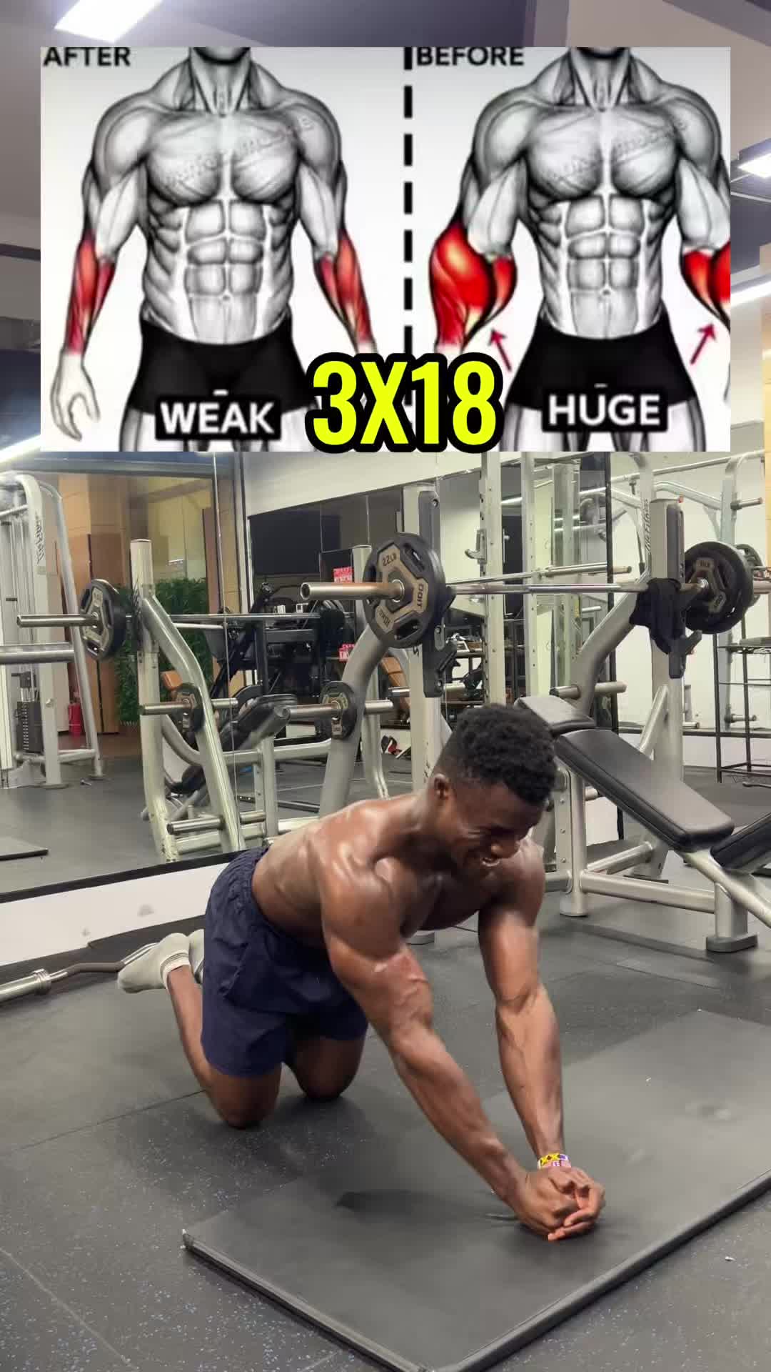 @FITNESS BEASTTRA