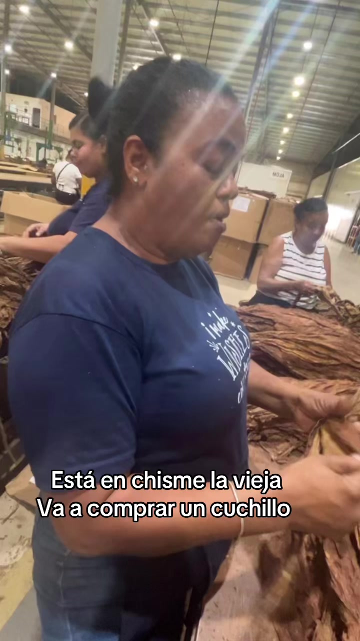 @Elizabeth Arias