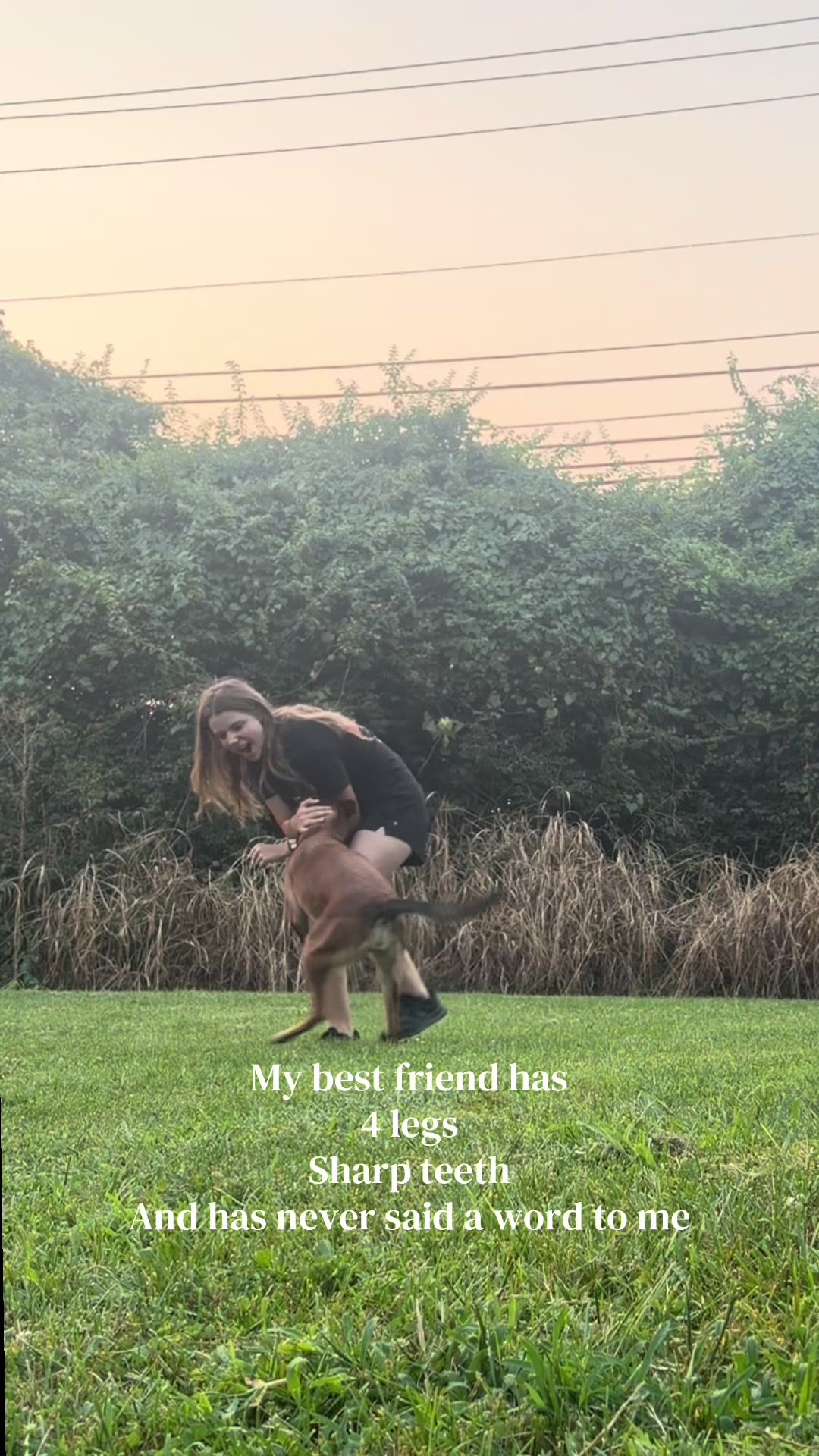 @driven.k9s