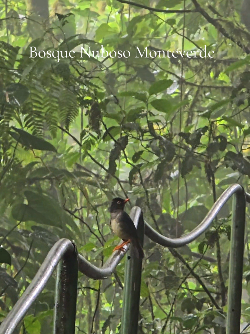 @Senderismo CR | Tours & Nature