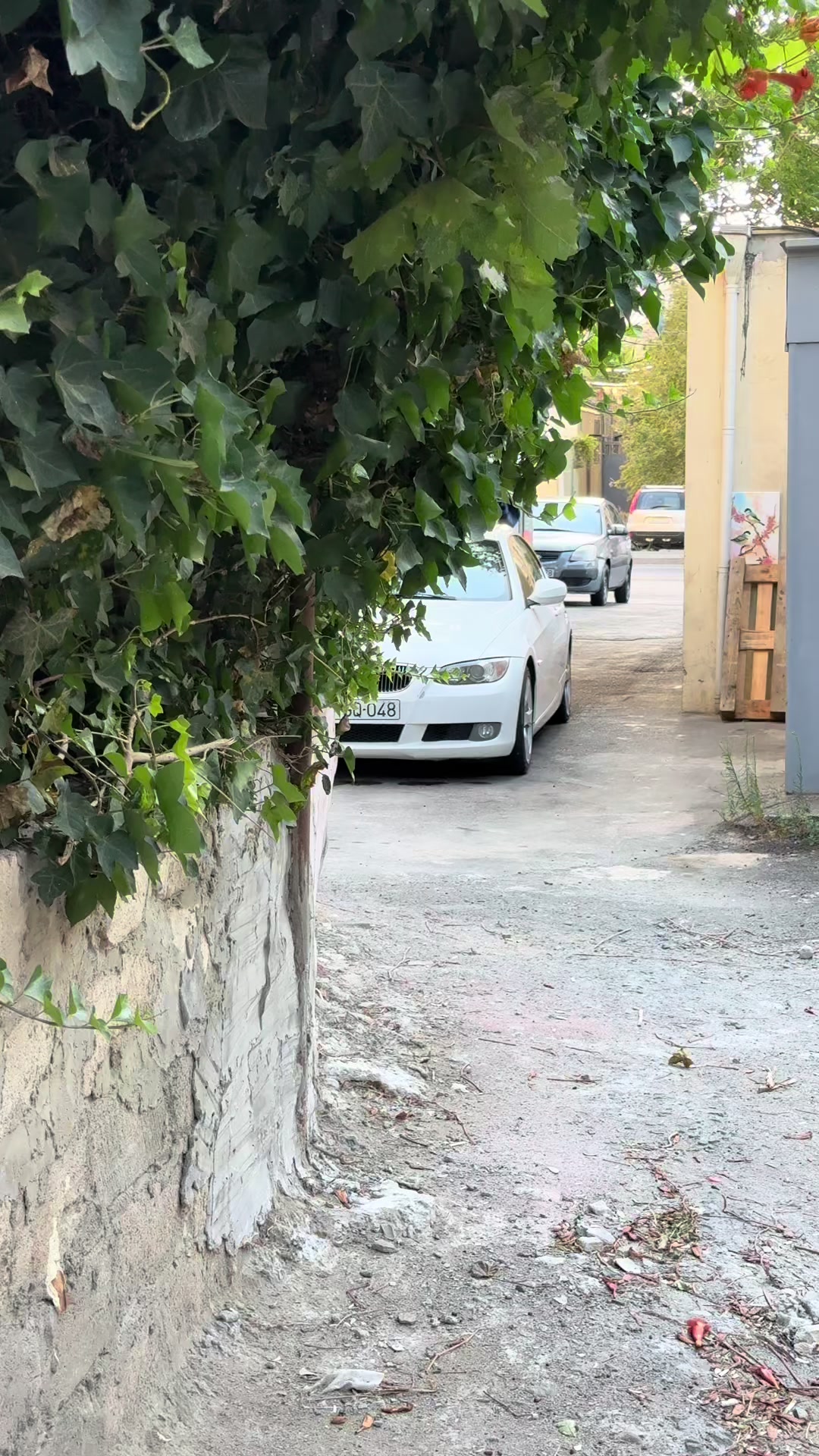 @Kenan048🥷