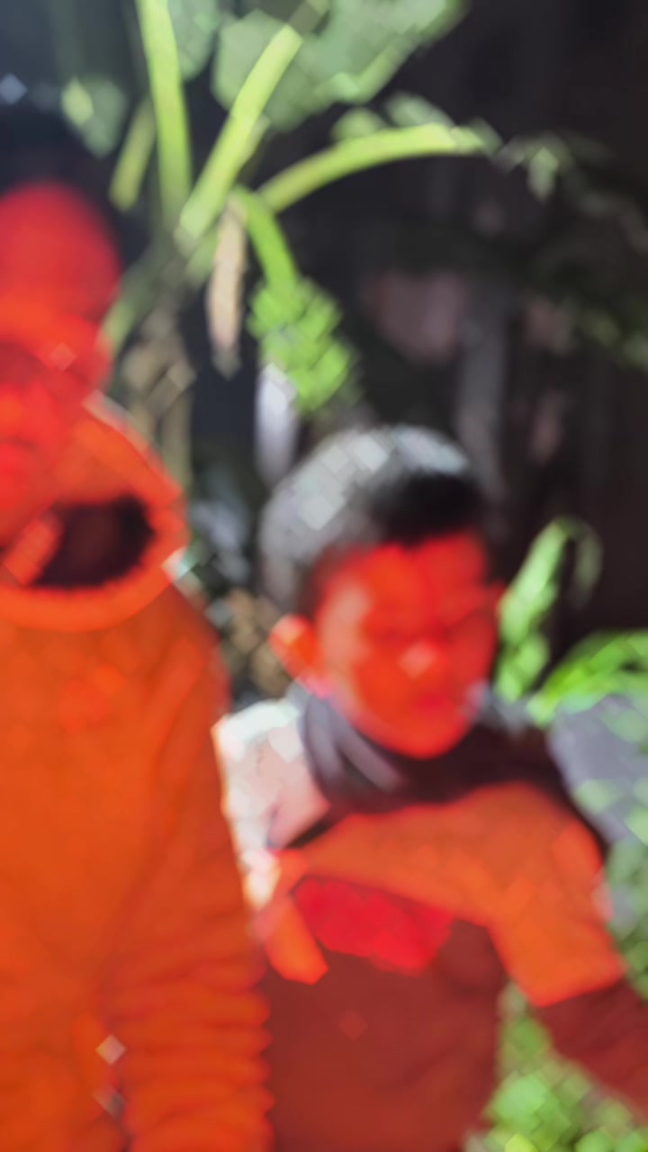 @बिष्णु भट्टराई