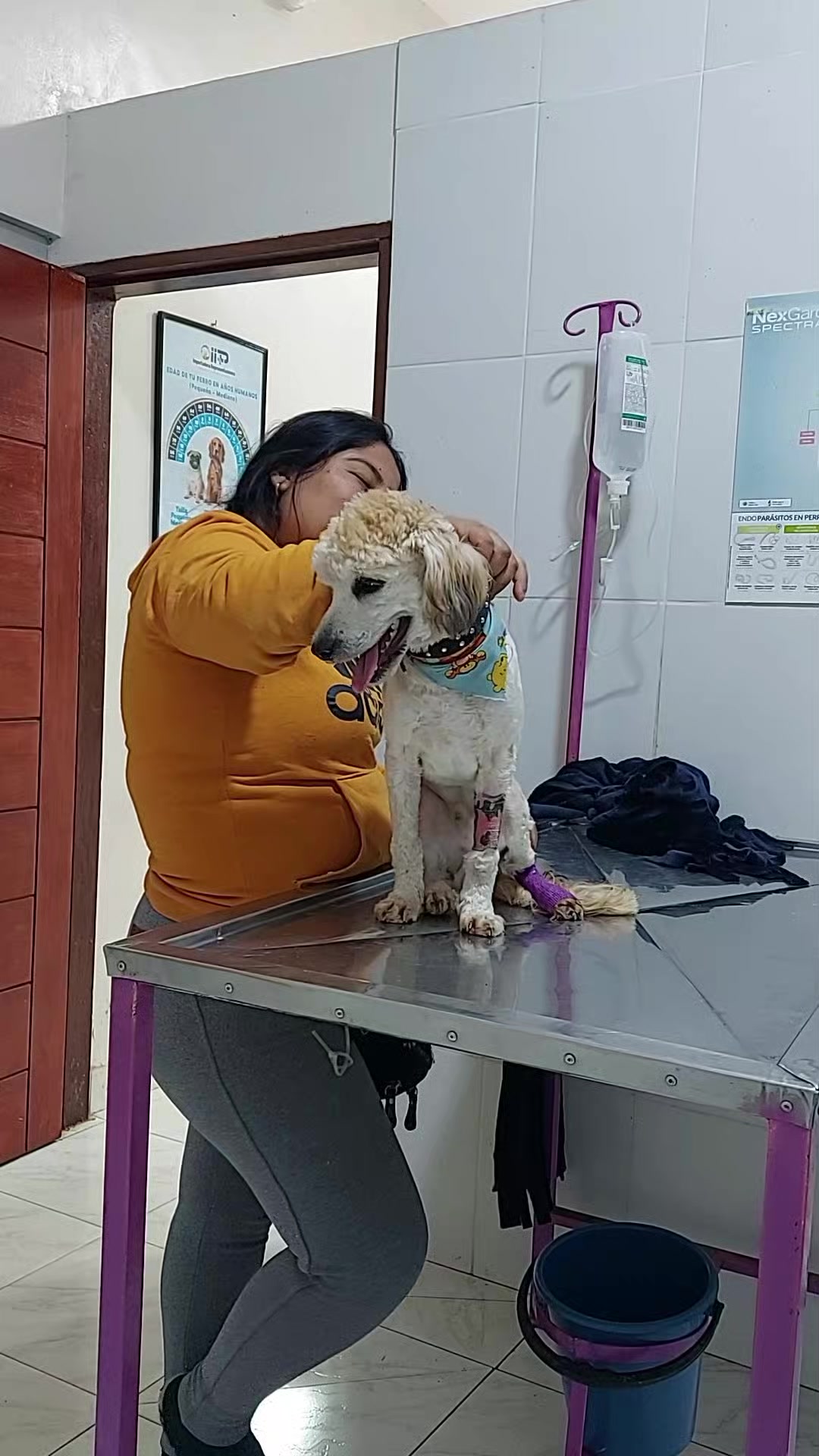 @VETERINARIA VET CENTER 💜