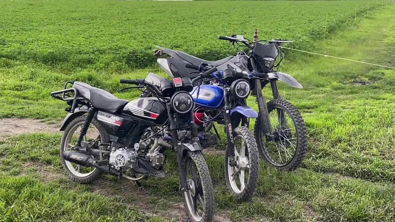 @Альфочка
