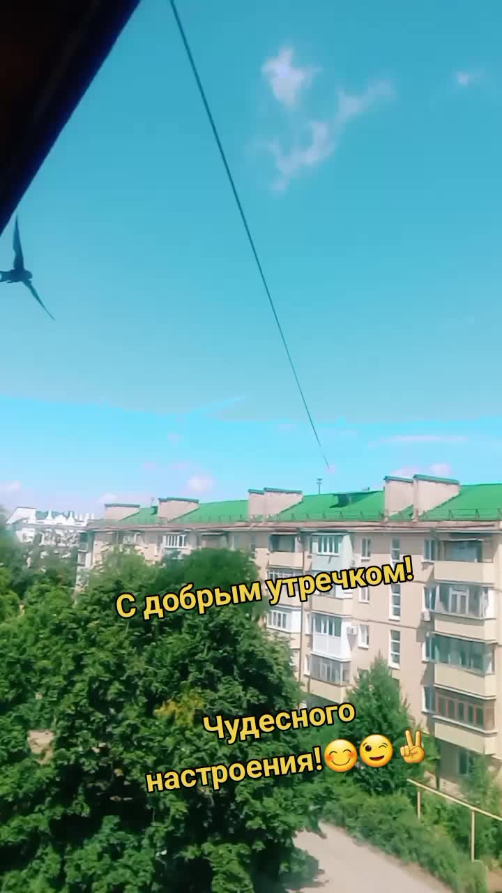 @ELENA😉