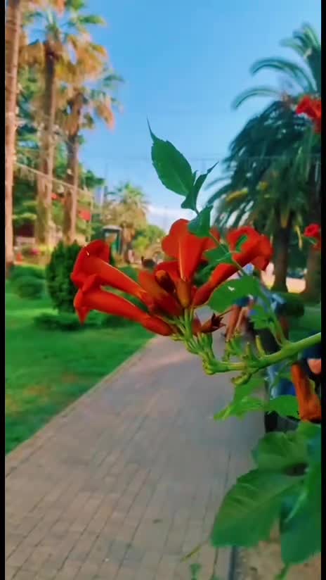 @Марина 🌹🍃