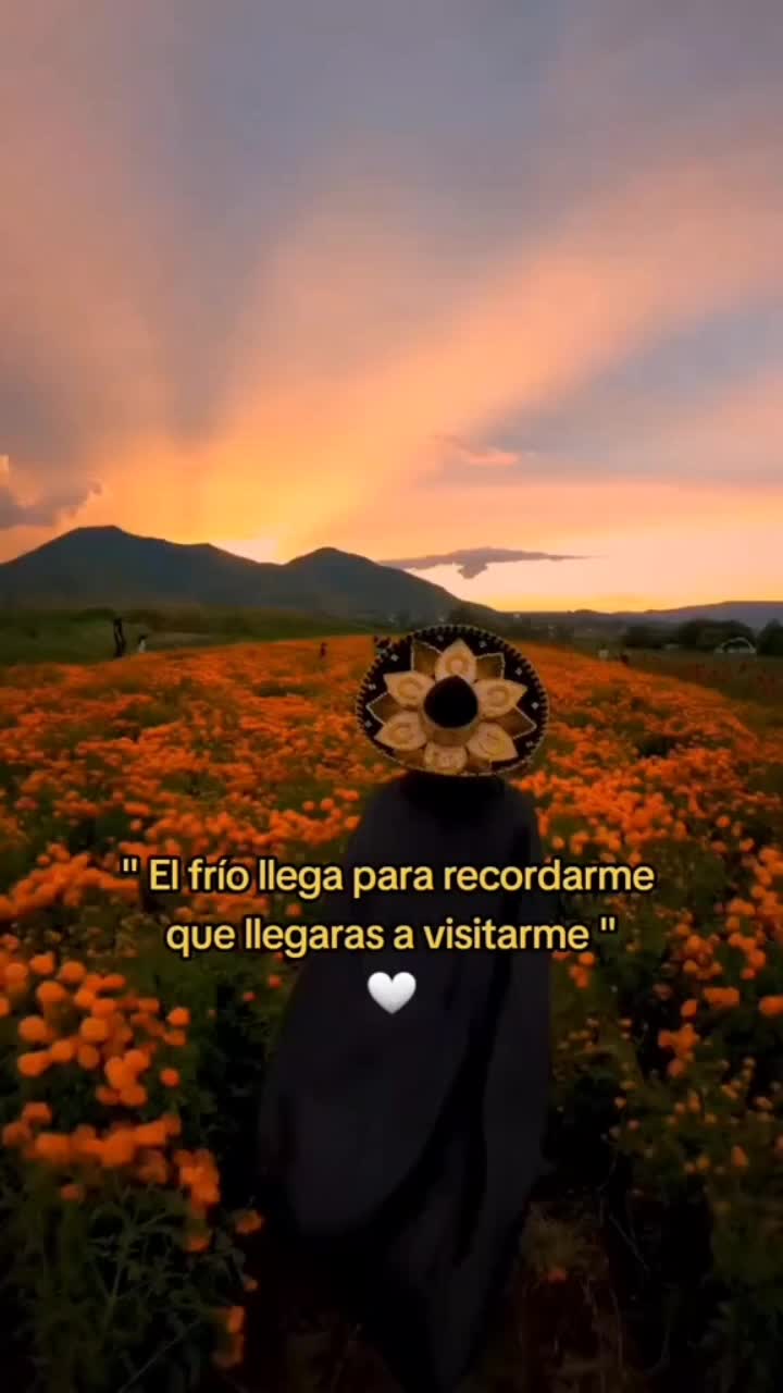 @Veroo0203