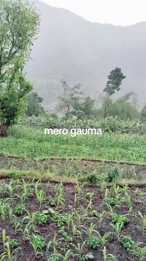 @Devi Khatri