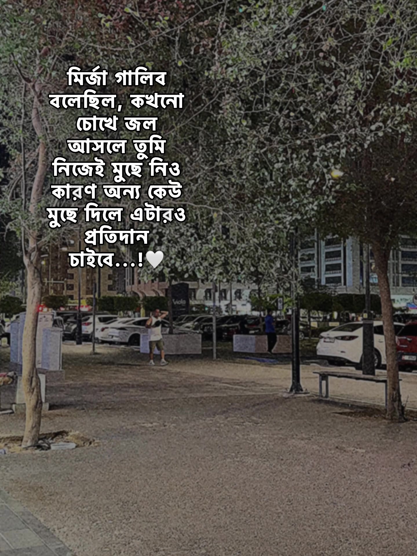 @ʝαɧɨԃ>>🌷💗