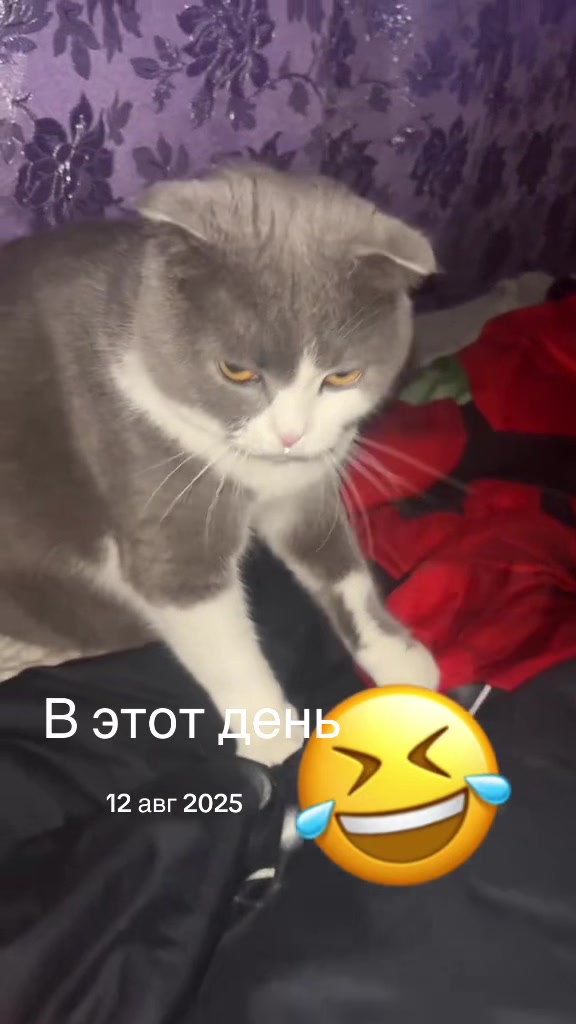@Медяночка😋