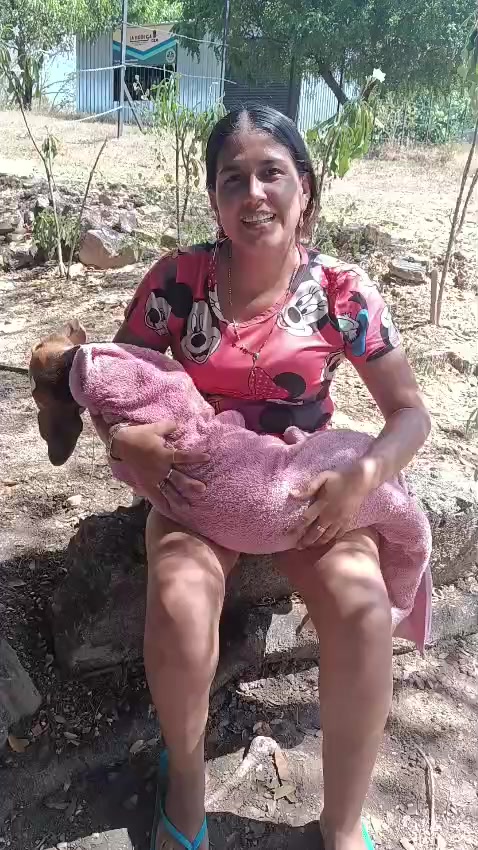 @BelitaPets