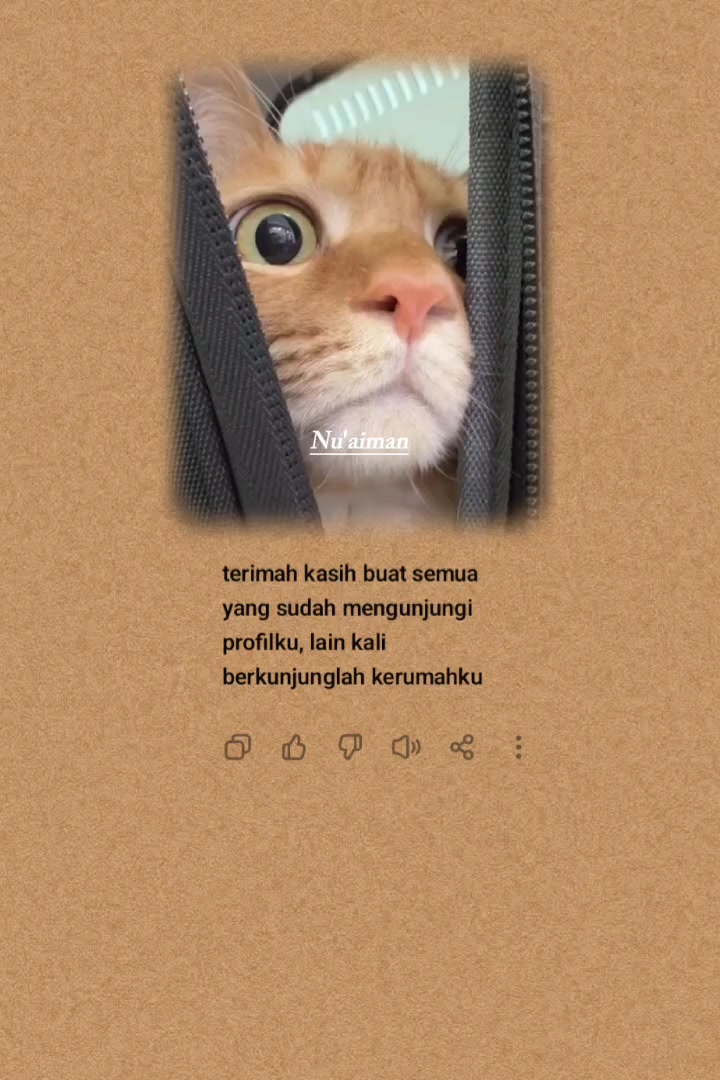 @Nu'Aiman
