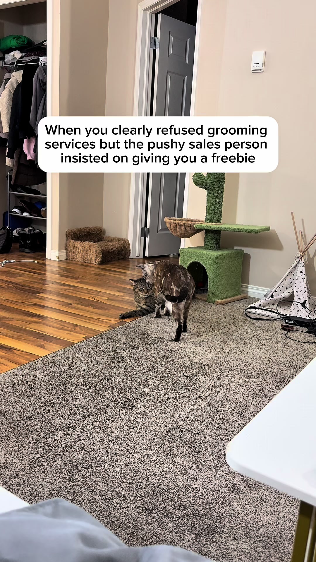 @Three Nawty Cats