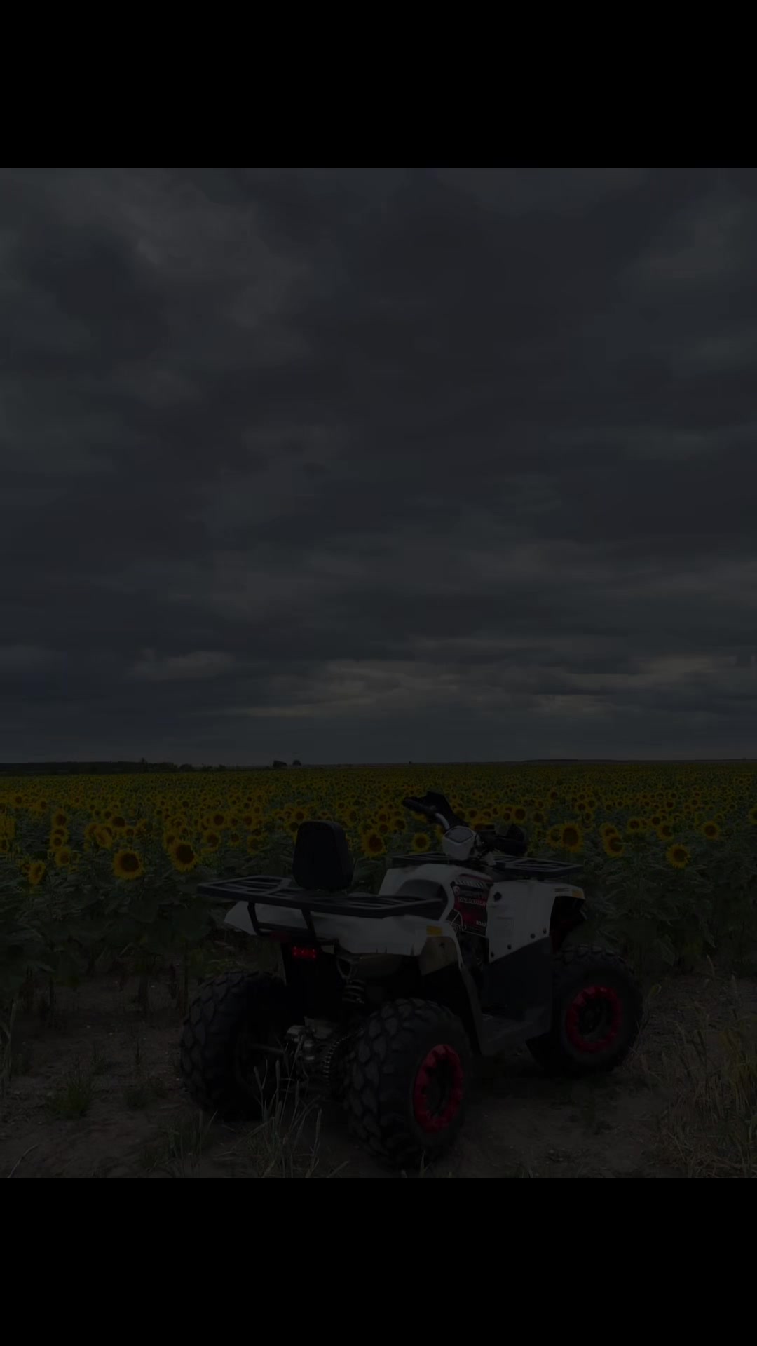 @_ʙʀᴀᴠᴇsᴏᴠᴏᴅ_