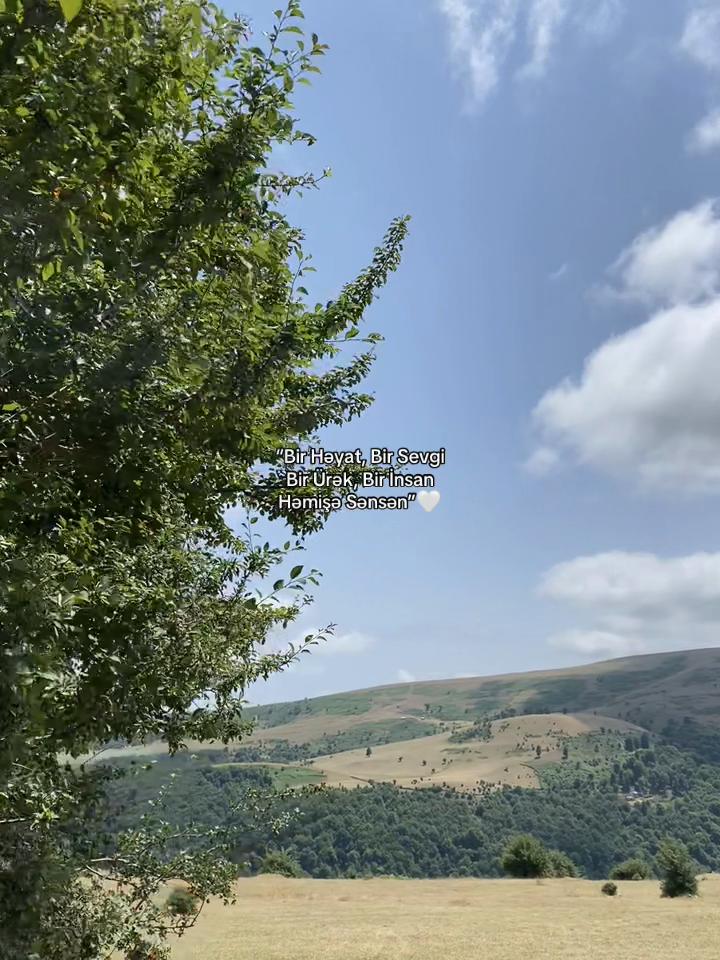 @𝐅𝐚𝐦𝐢𝐥❤️🩹🩹
