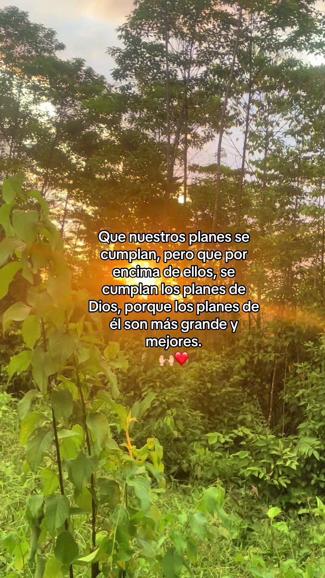 @María Fernanda 