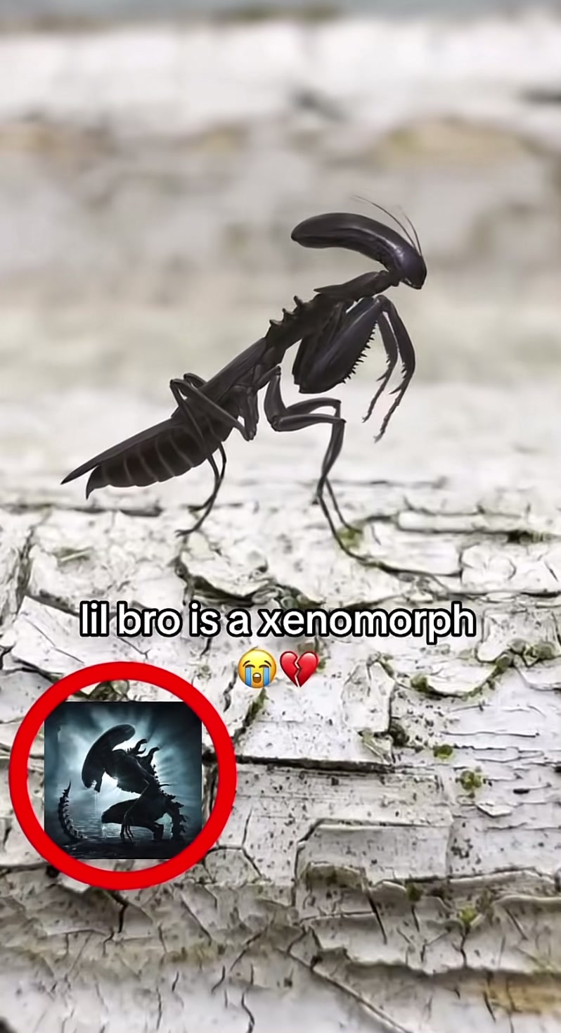 @ 
