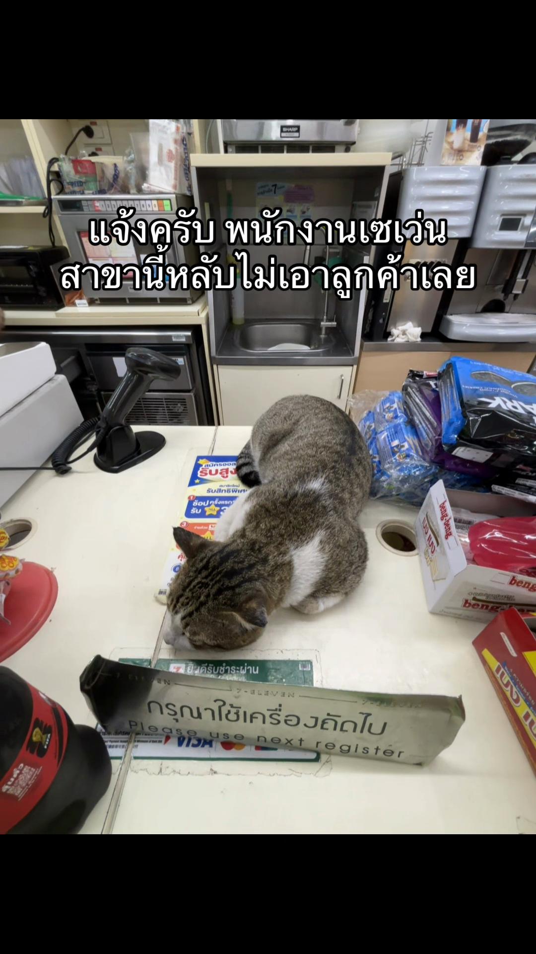 @ILoveปลาชะโด