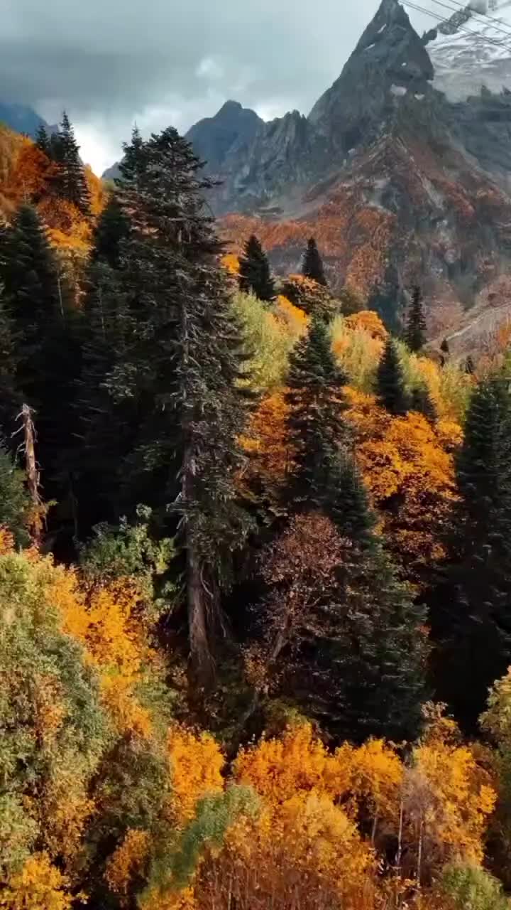@qazmusic_kz