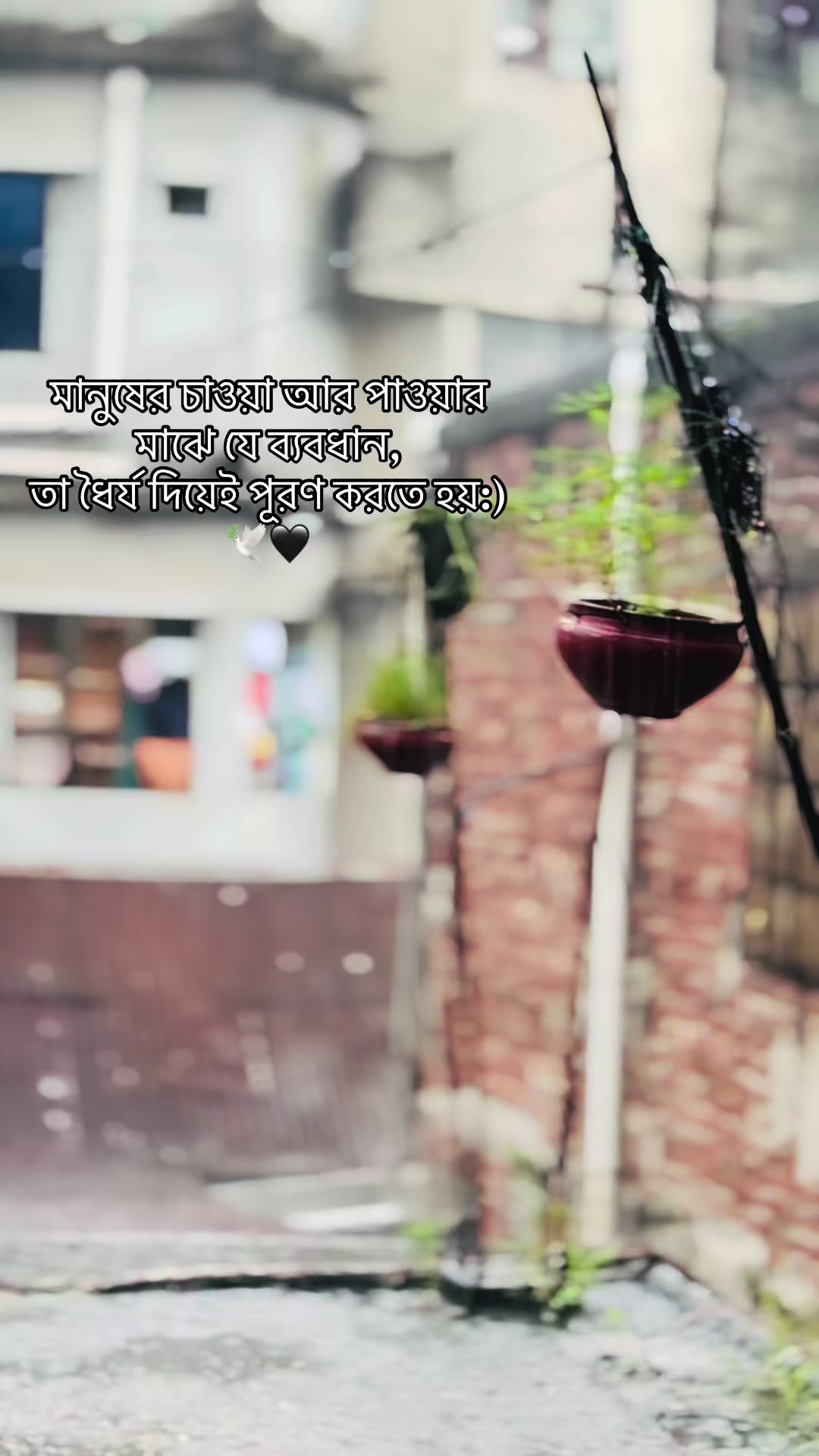 @🕸️_M!SHU_🕷️
