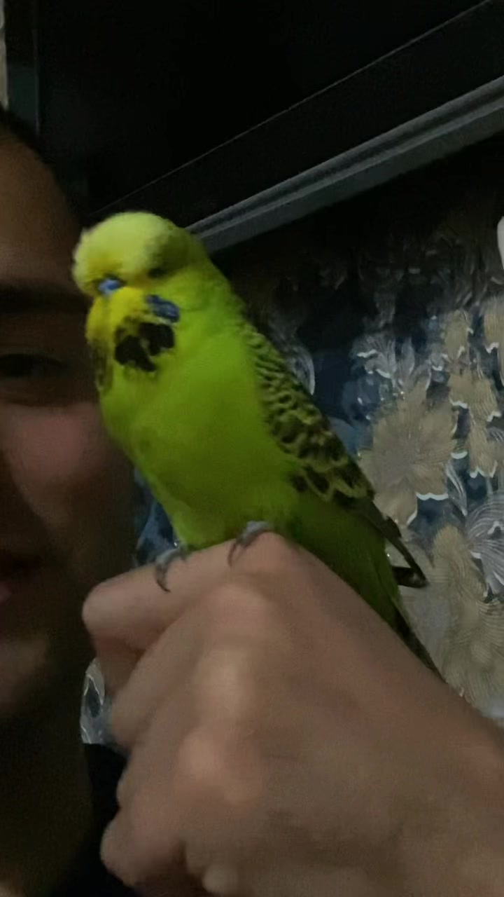 @TA1JGK 🇹🇷