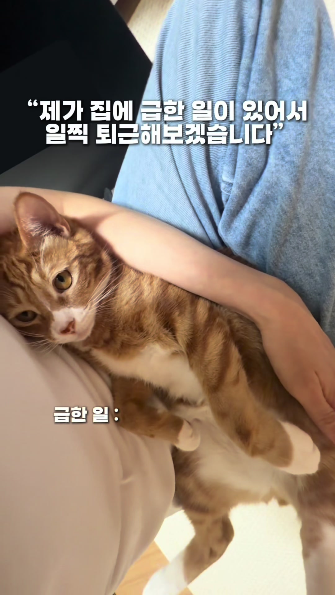@뮤춘삼
