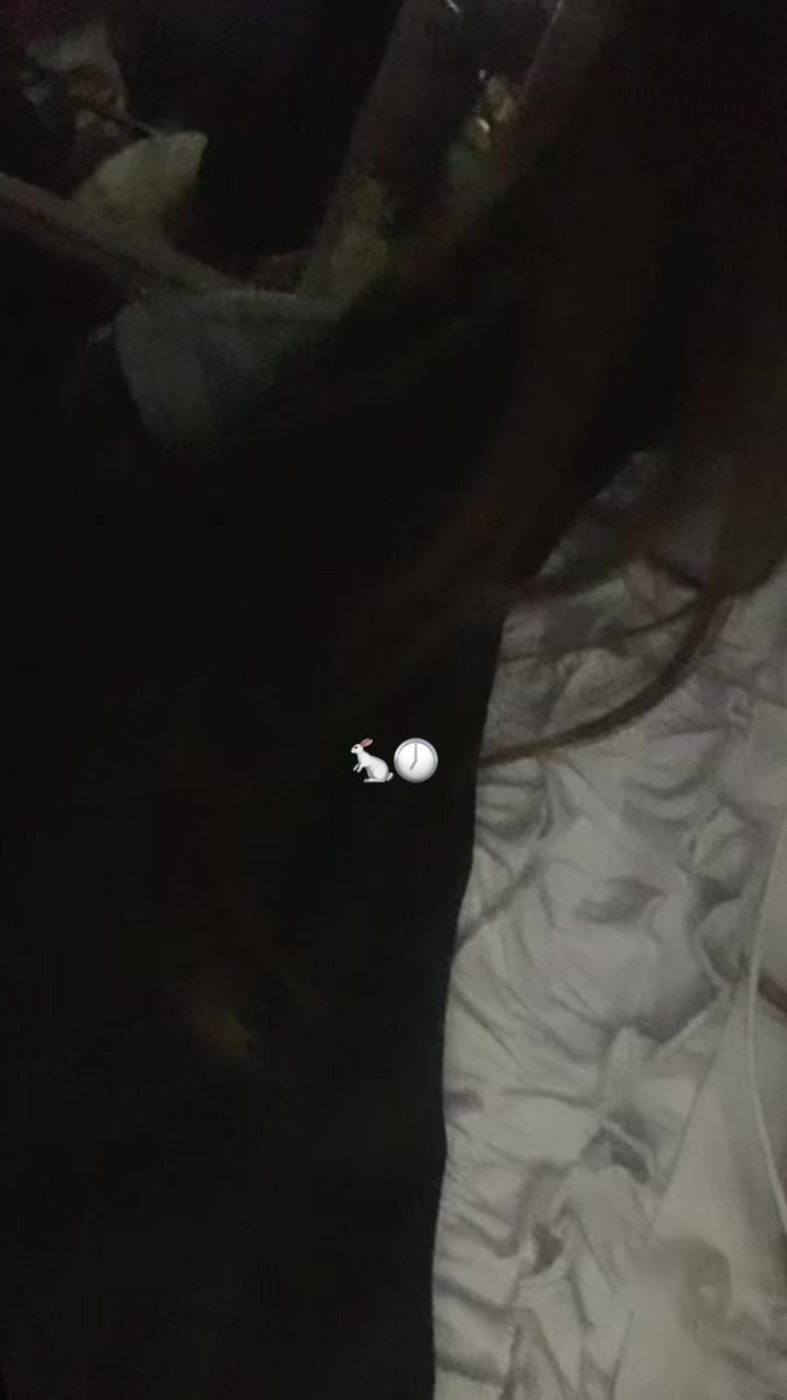 @mihnosha