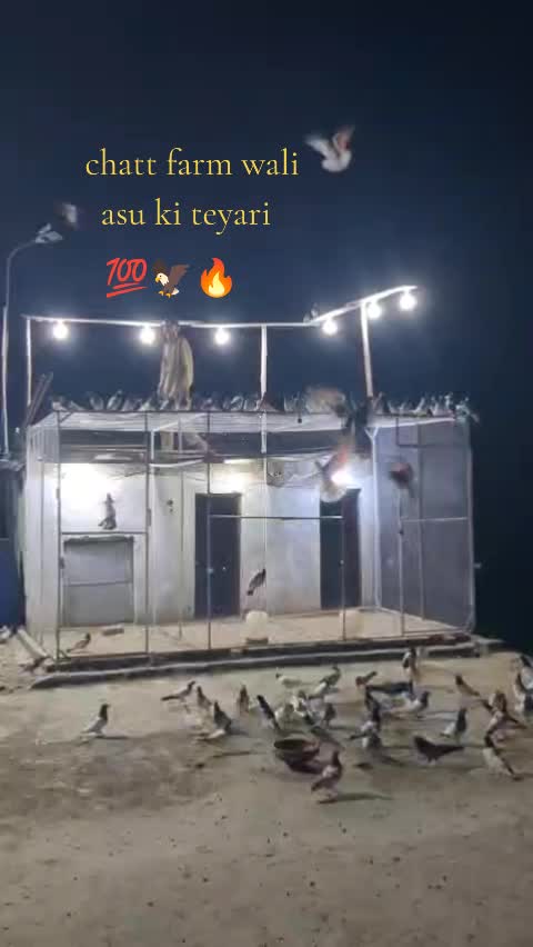 @Lucky Rajput