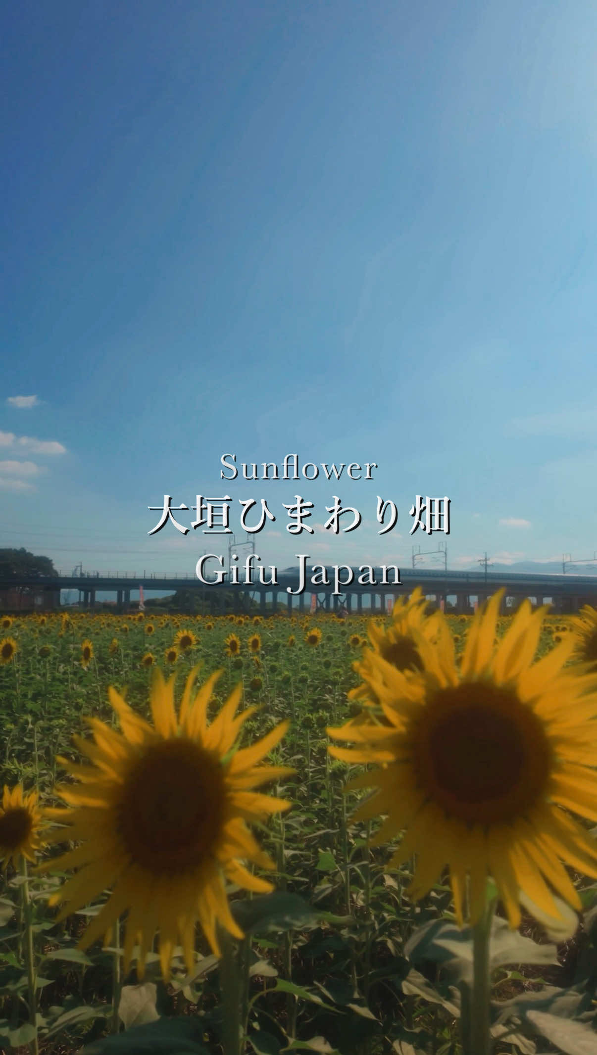 @tabi_momoka/観光•旅行
