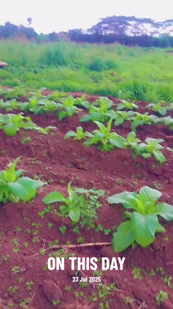 @𝗦𝗛𝗔𝗠.𝗙𝗝