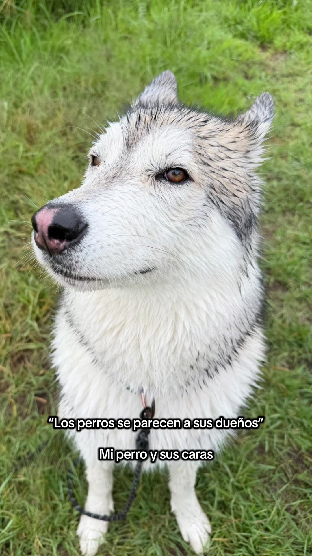 @KZ
