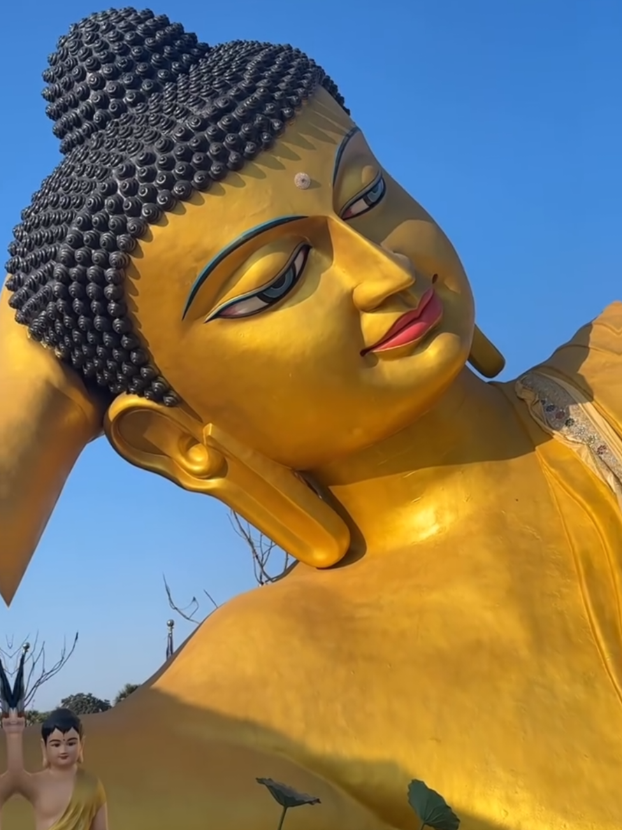 @buchung_norbu_la