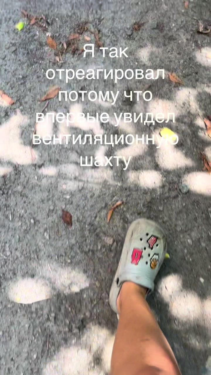 @Davikx_RZW10