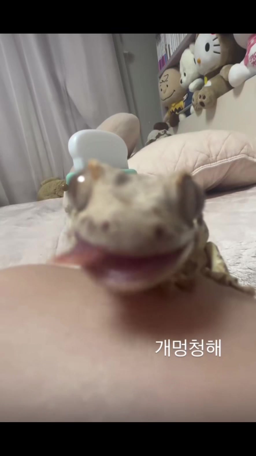 @흑임자누룽지