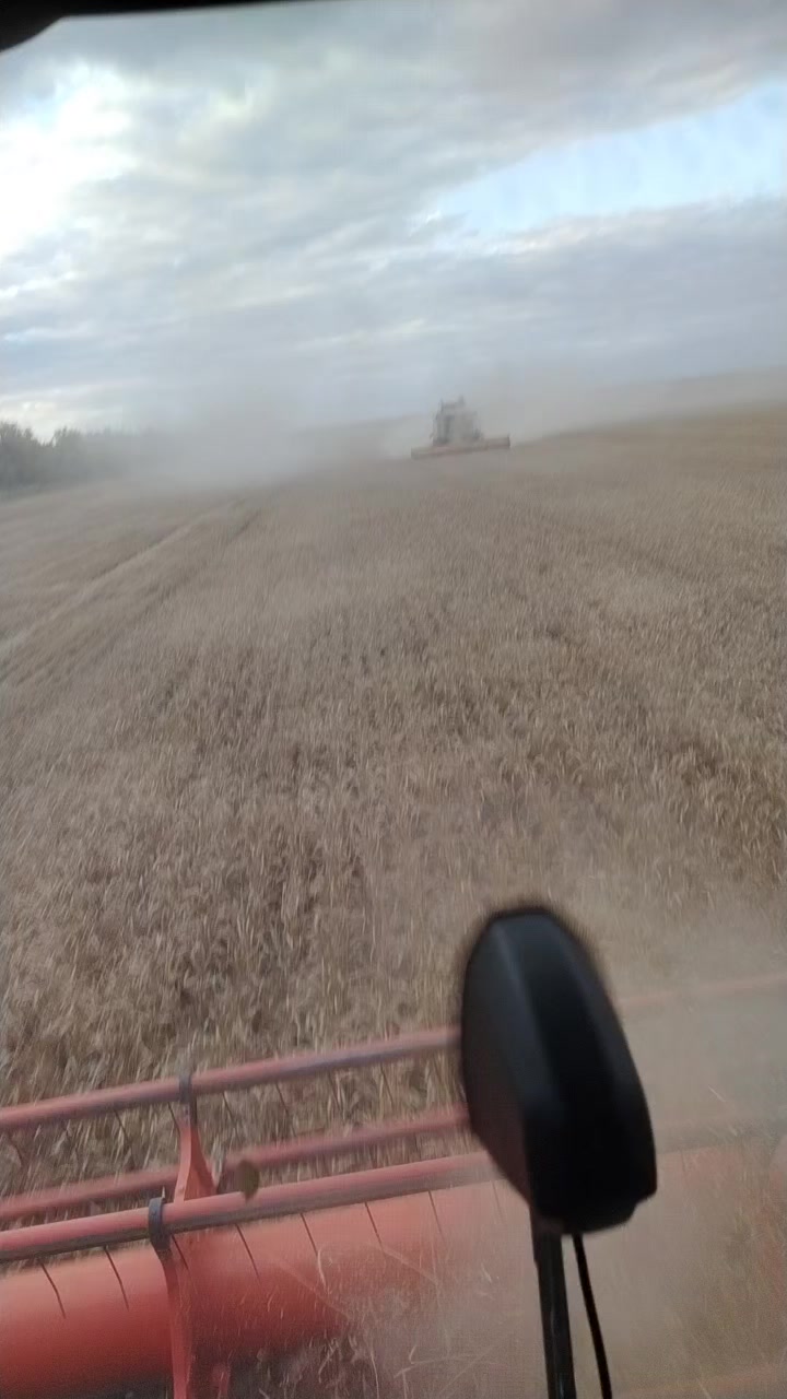 @🔝Просто СЕРГЕЙ 🎶🌾🌻🚜