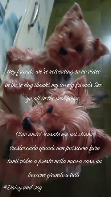 @#Daisy and Joy