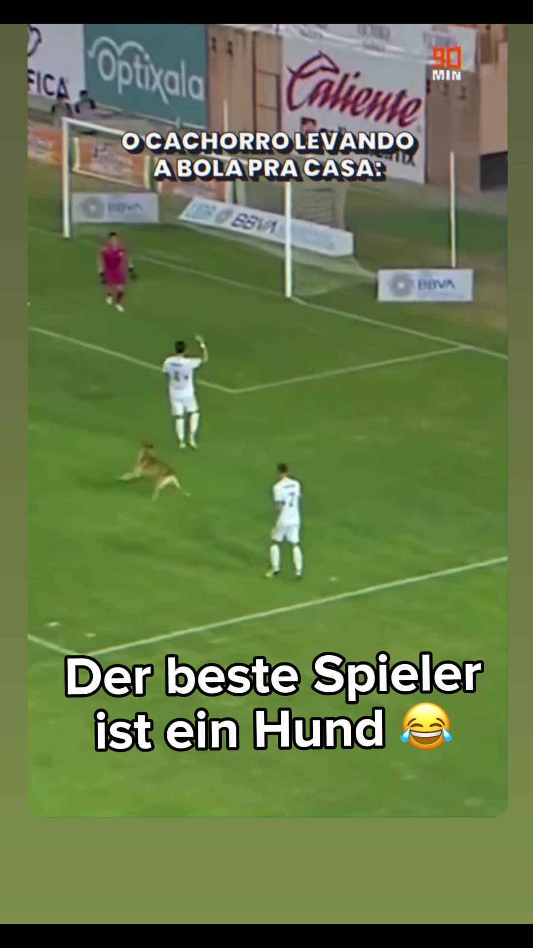 @Markus Becker