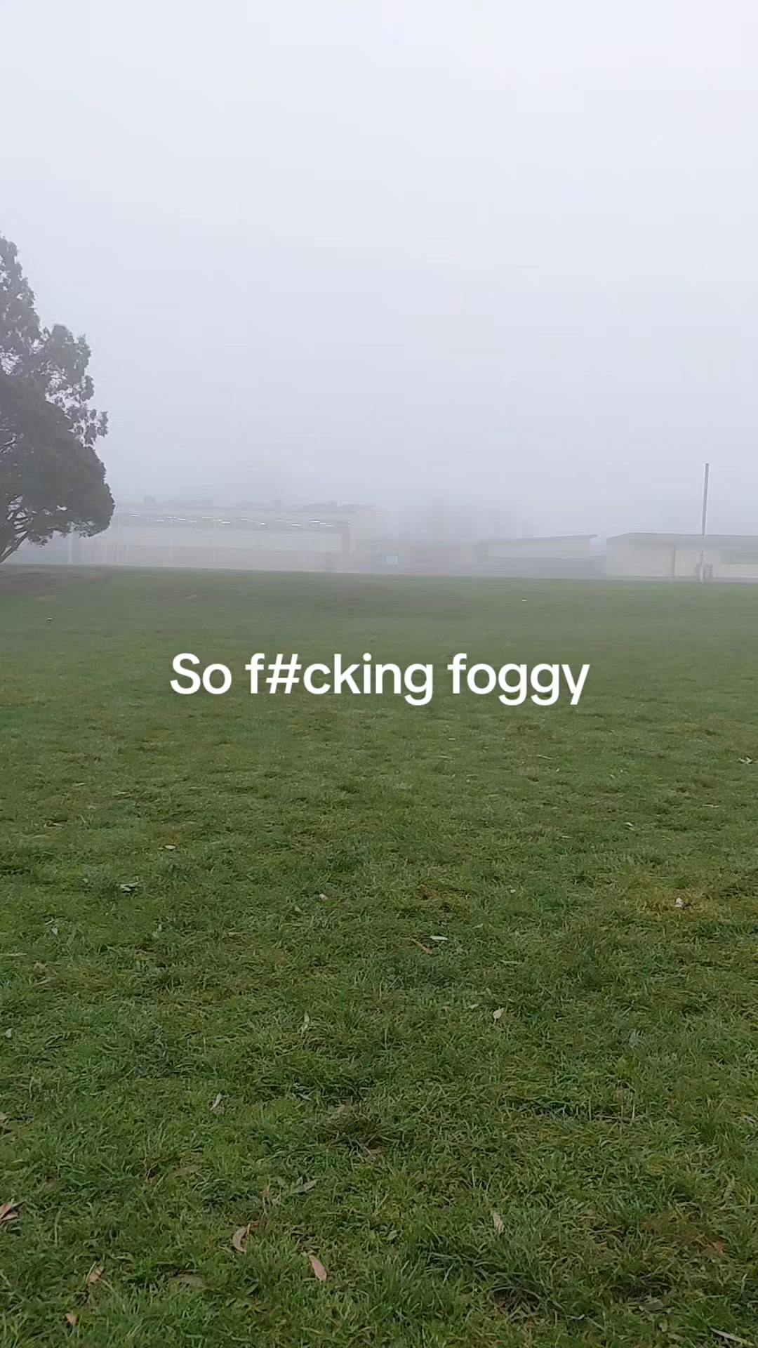 @𝔛𝔞𝔫𝔡𝔢𝔯