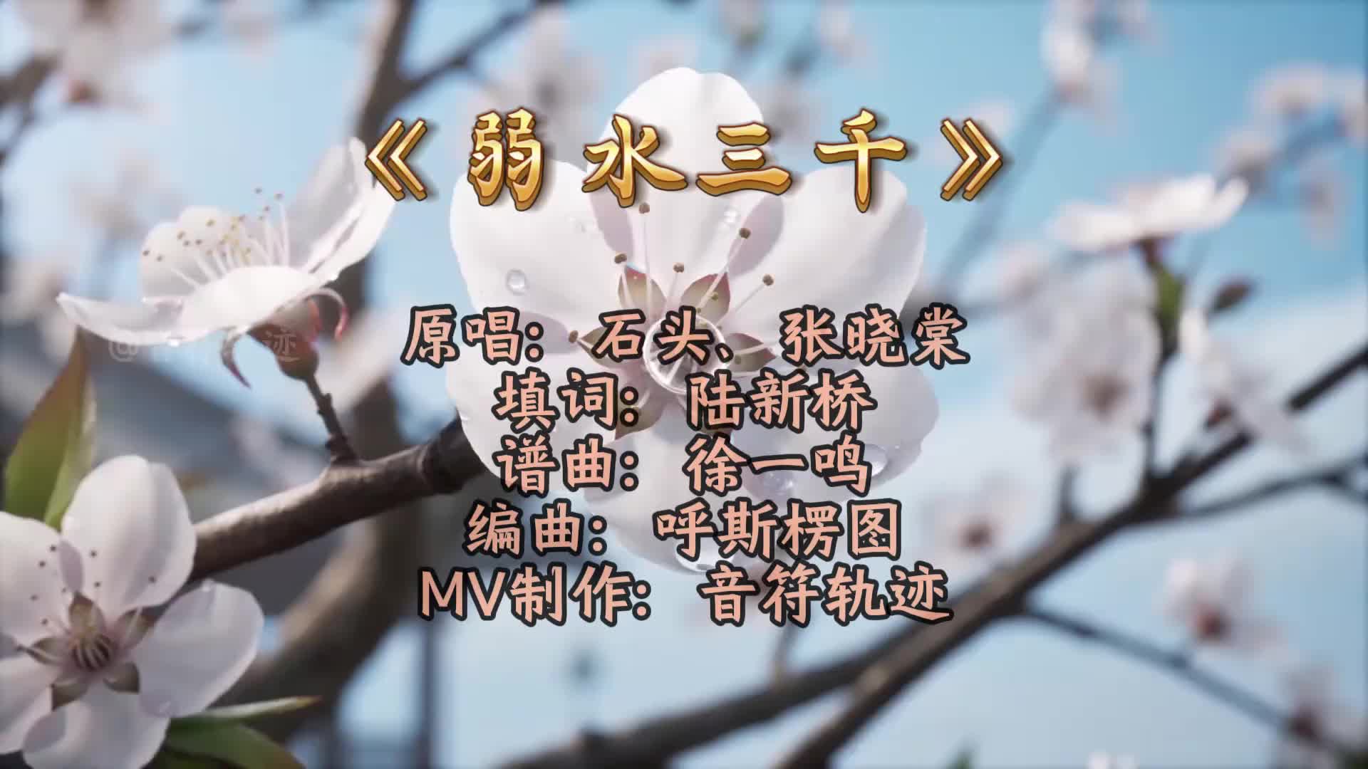 @竹丨《Trúc Ảnh》 🌿