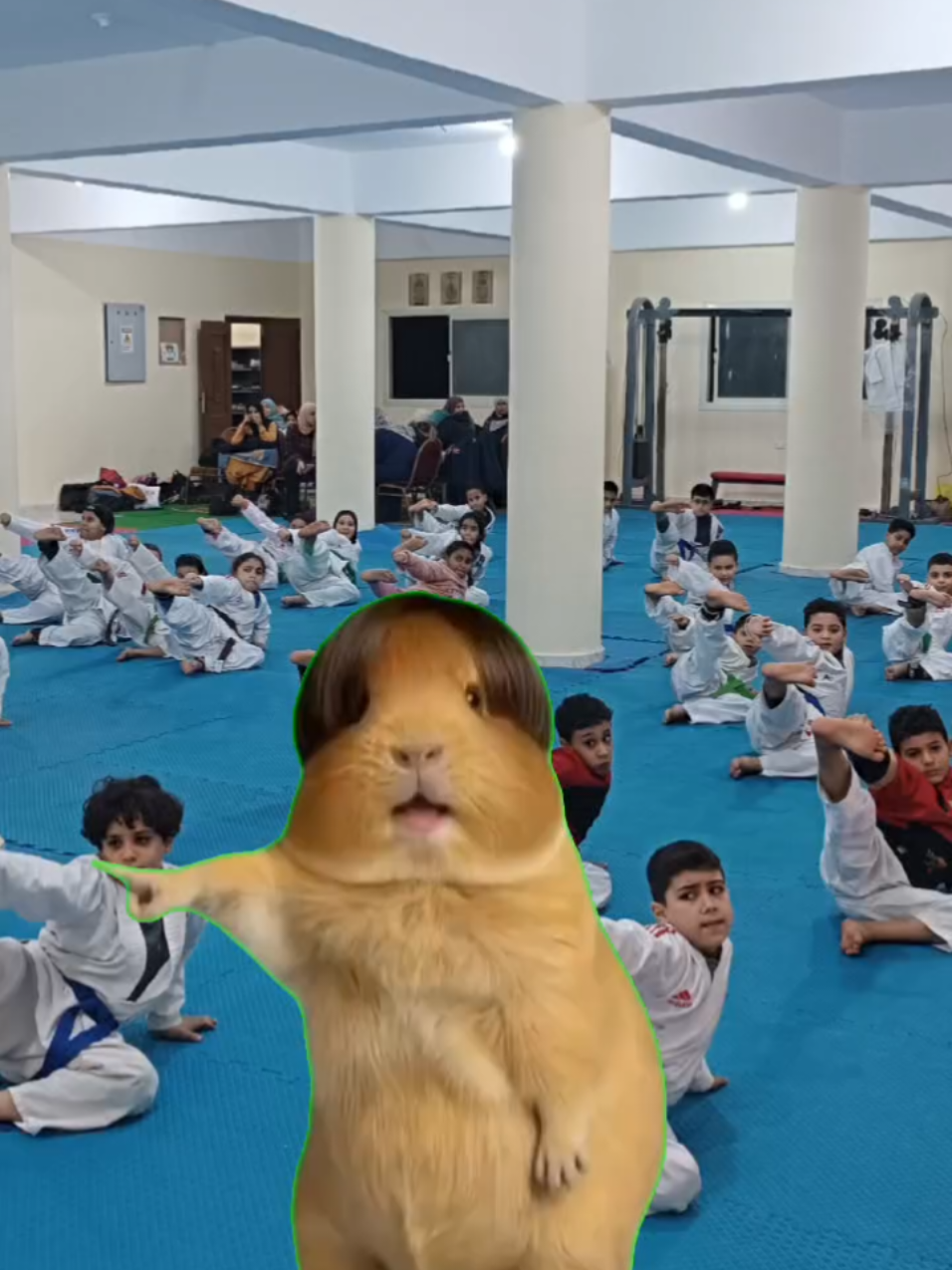 @Elemary Karate Academy