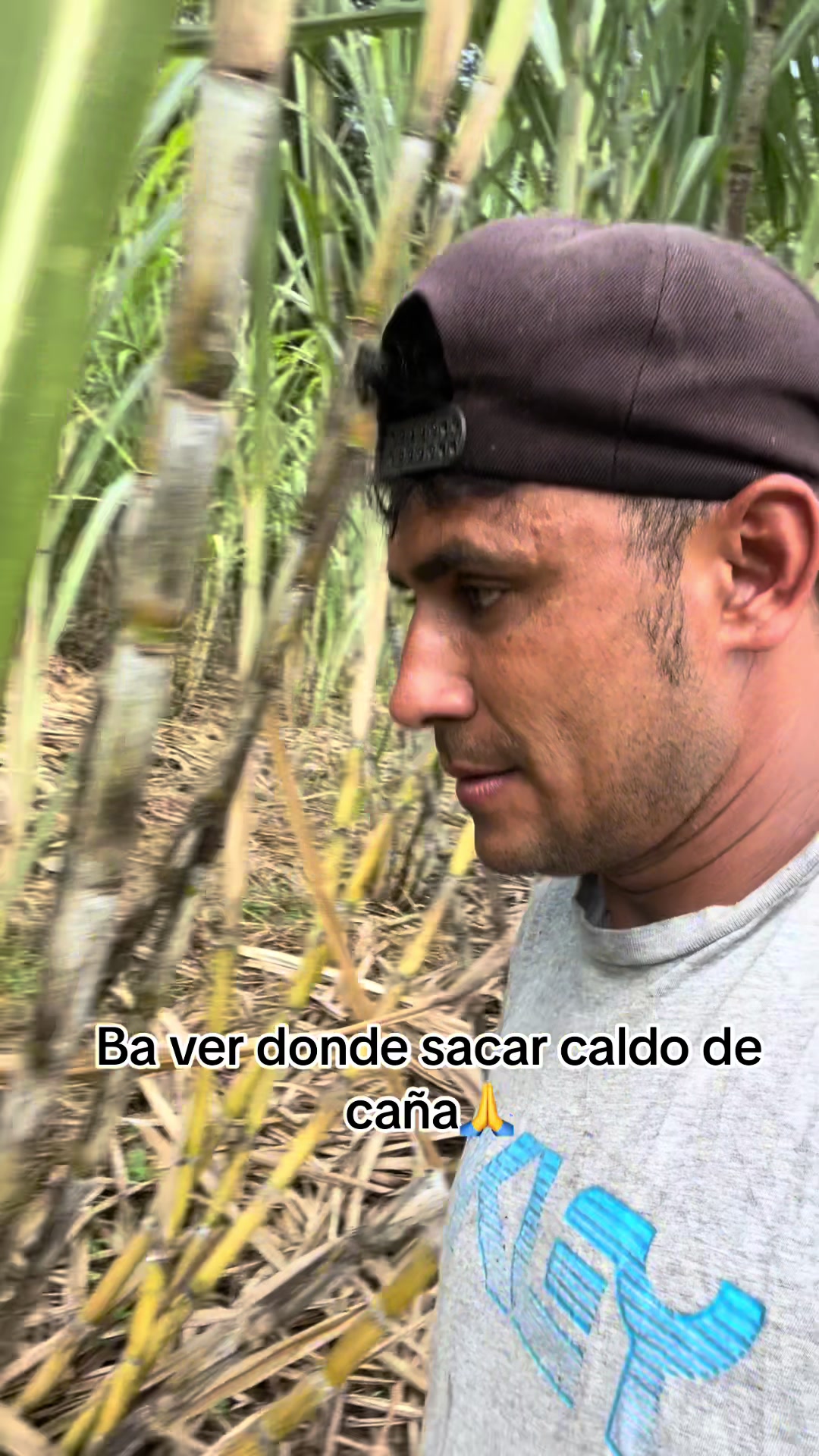 @EL MINI🧃