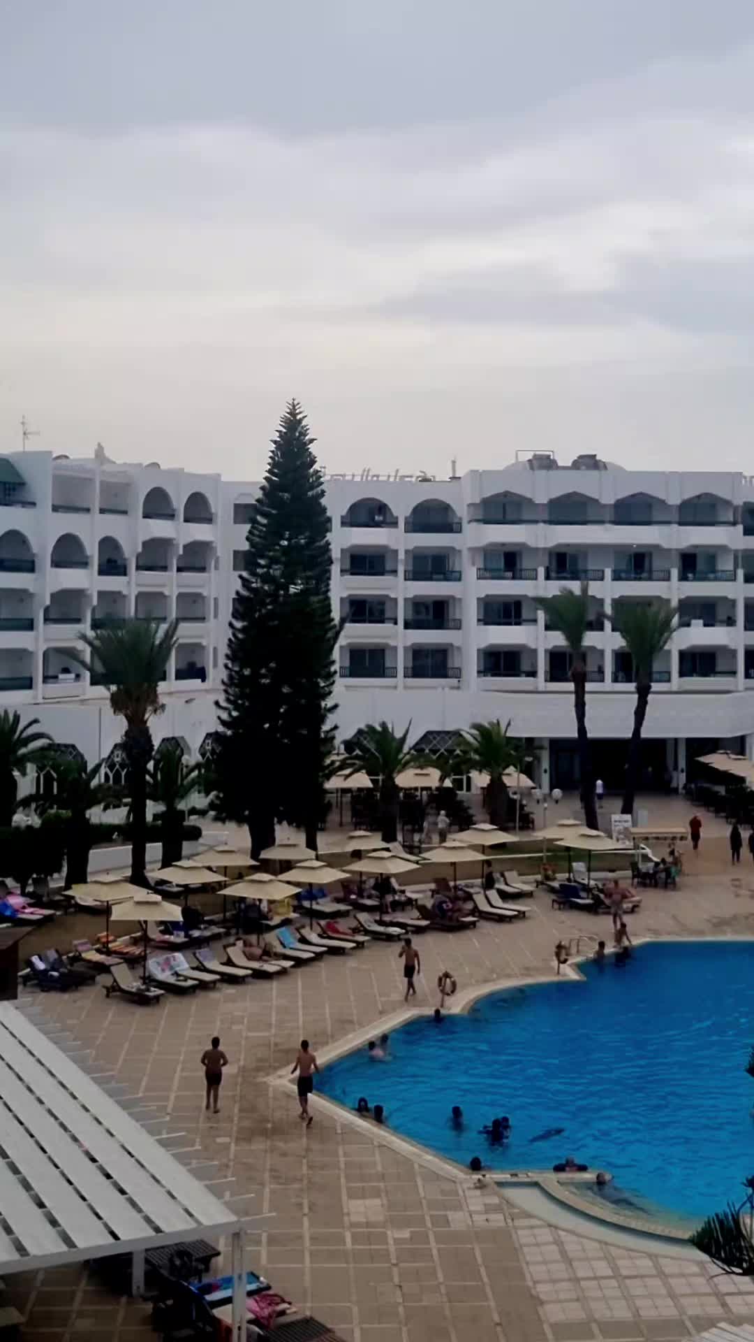 @Algérinotls 🇩🇿🇨🇵