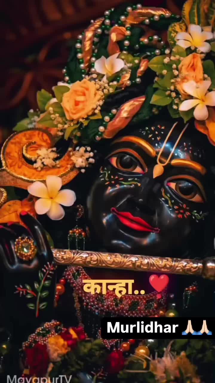 @Sneha Shekhar Gupta