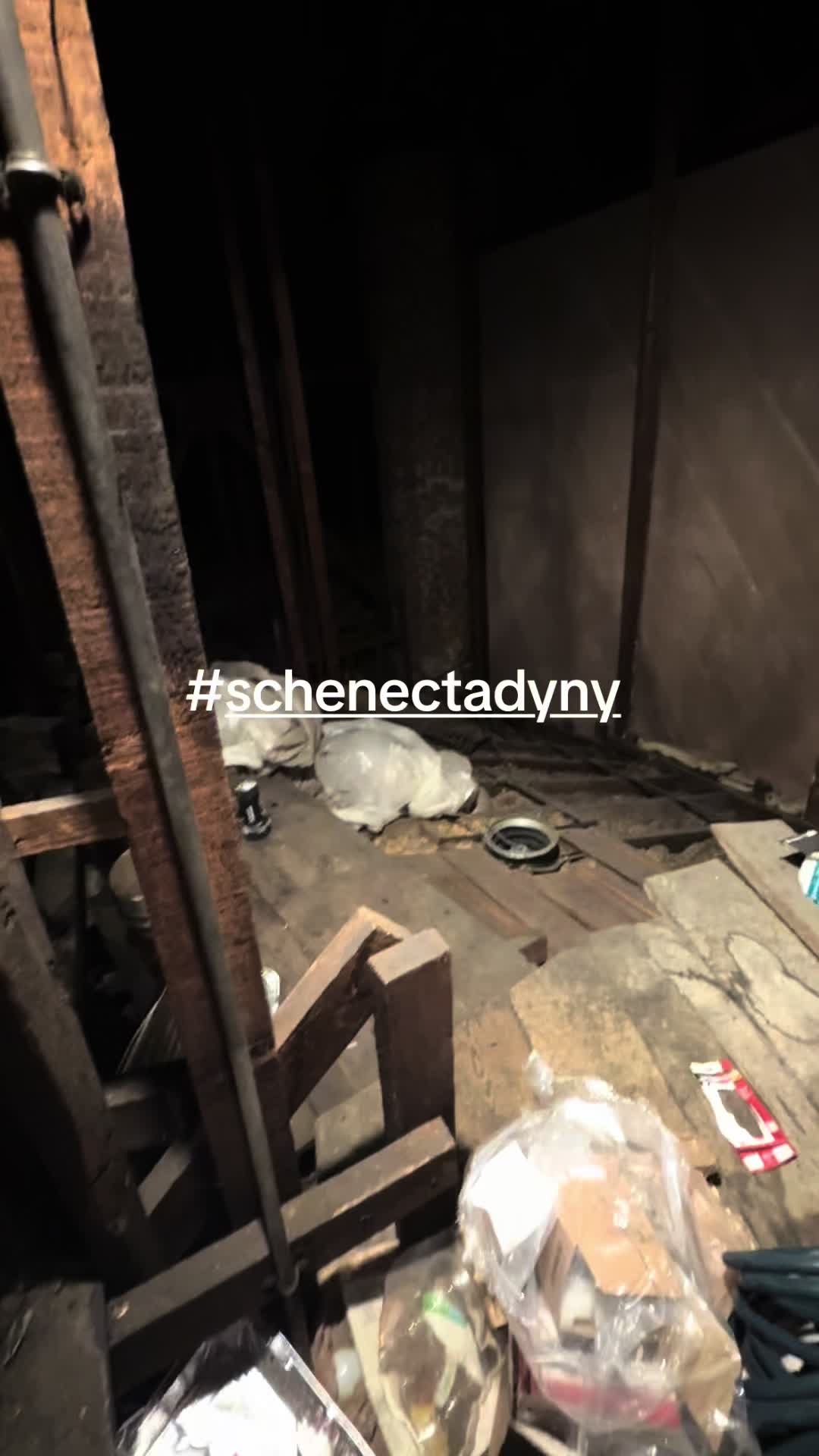 @trevitoyhwh